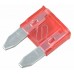 10 Amp Mini Blade Fuses (5 Per Pack)